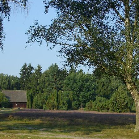 Ferienwohnungen Tewes Müden Exterior foto